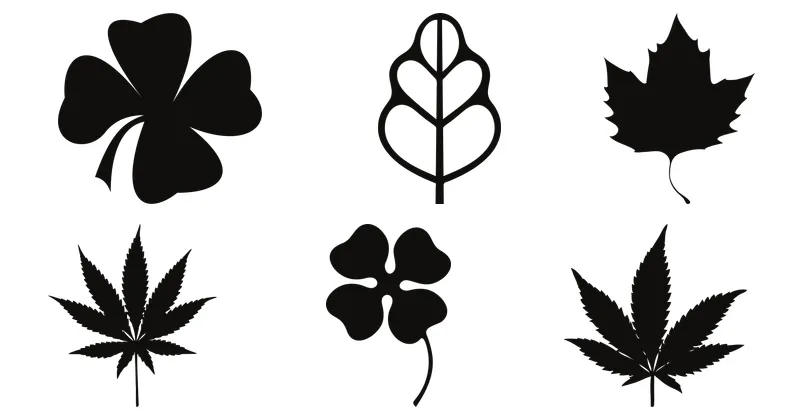 hoja
