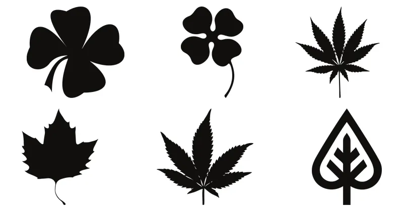 hoja